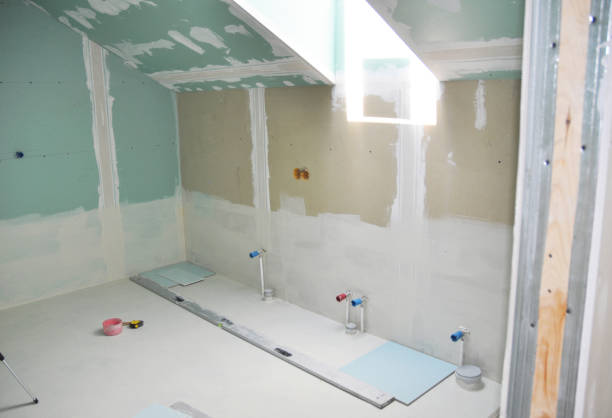Best Flood Damage  in Ashland, IL