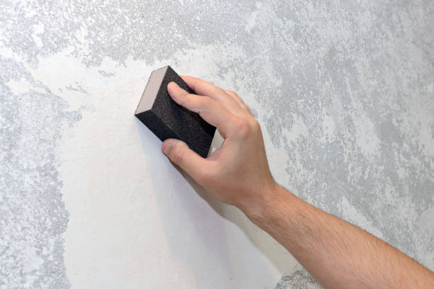 Best Basement Mold Removal  in Ashland, IL