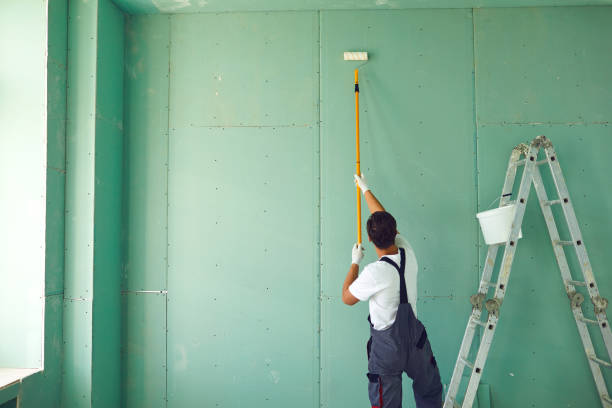  Ashland, IL Mold Removal Pros