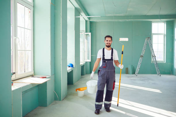 Best Mold Odor Removal Services  in Ashland, IL