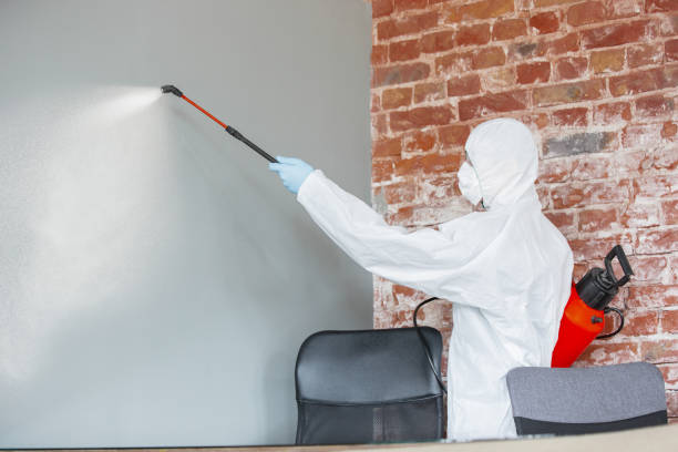 Best Forensic Mold Investigation  in Ashland, IL