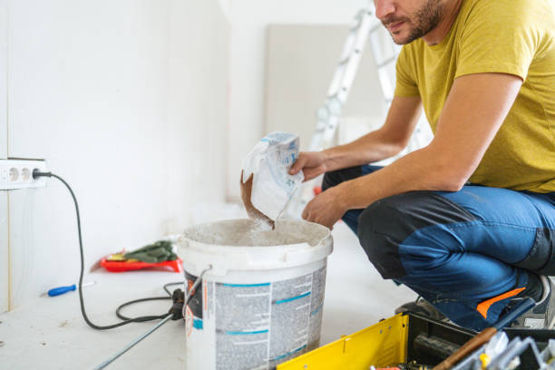 Best Asbestos and Lead Testing During Mold Inspection  in Ashland, IL