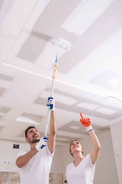 Best HVAC Mold Inspection and Cleaning  in Ashland, IL