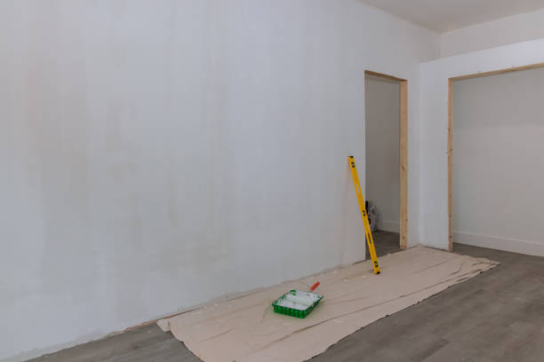 Best Emergency Mold Remediation  in Ashland, IL