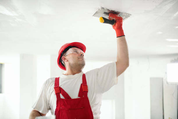 Best Dehumidification Services  in Ashland, IL