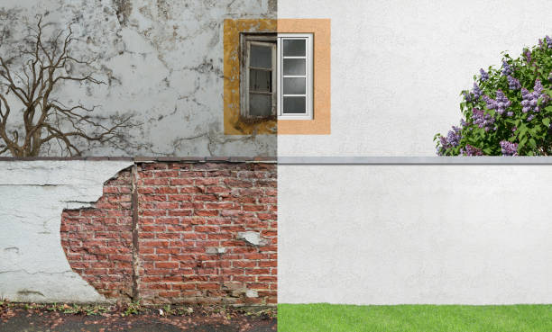 Best Mold Removal for HVAC Installations  in Ashland, IL
