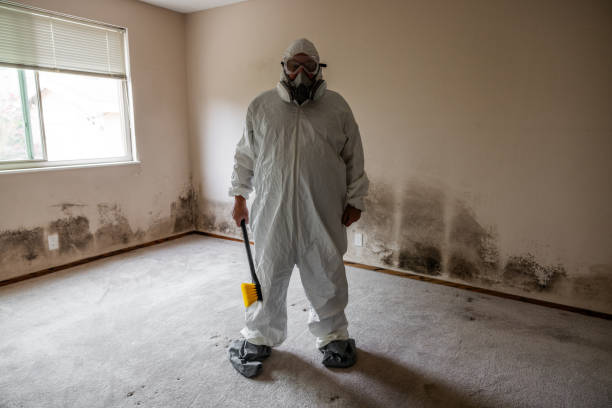 Best Real Estate Mold Inspection  in Ashland, IL