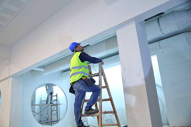 Ashland, IL Mold Removal Company